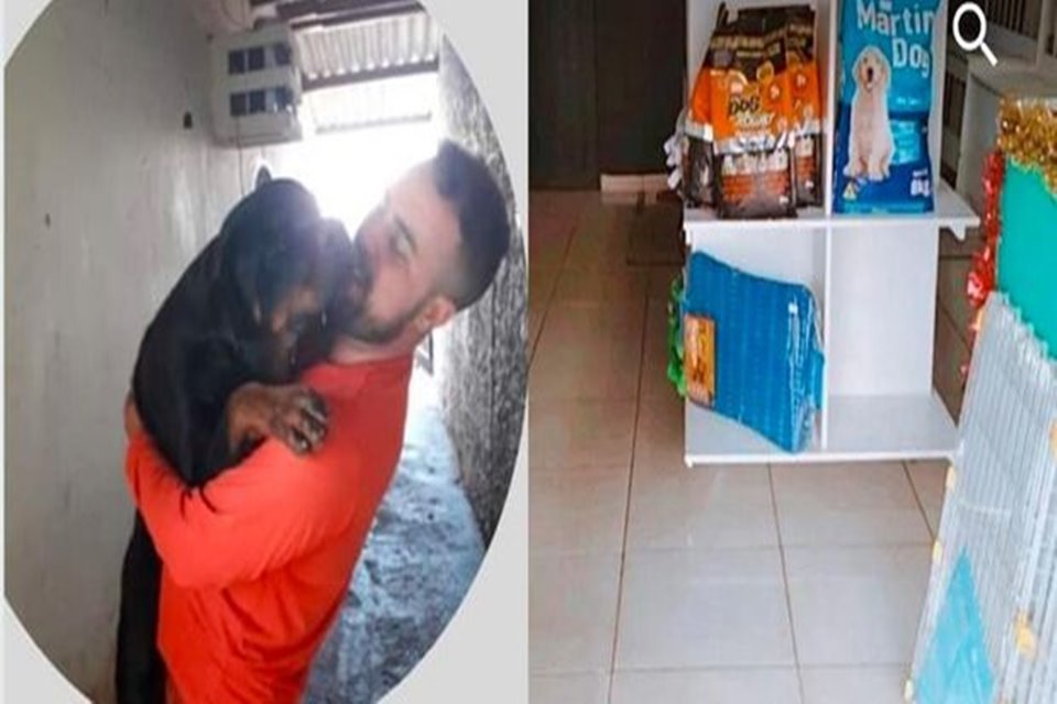 MS dono de pet shop doa presentes para cães de rua e viraliza Feedy
