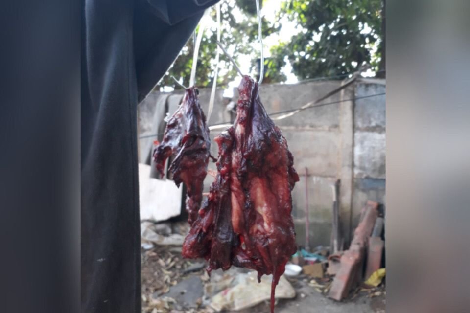 preso matar comer cachorro e gato (4)