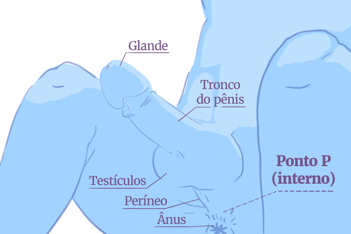 Mapa do prazer do pênis um guia para conhecer e dar prazer para eles Metrópoles