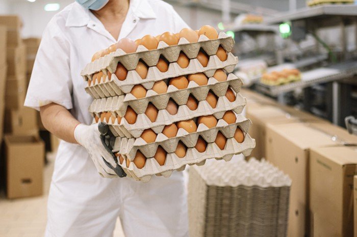 Pessoa segurando caixas com ovos - Metrópoles