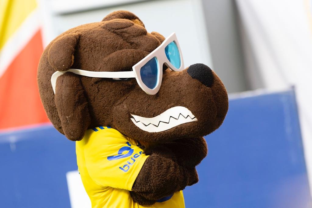 Mascote do Cruzeiro no Mané Garrincha - Metrópoles