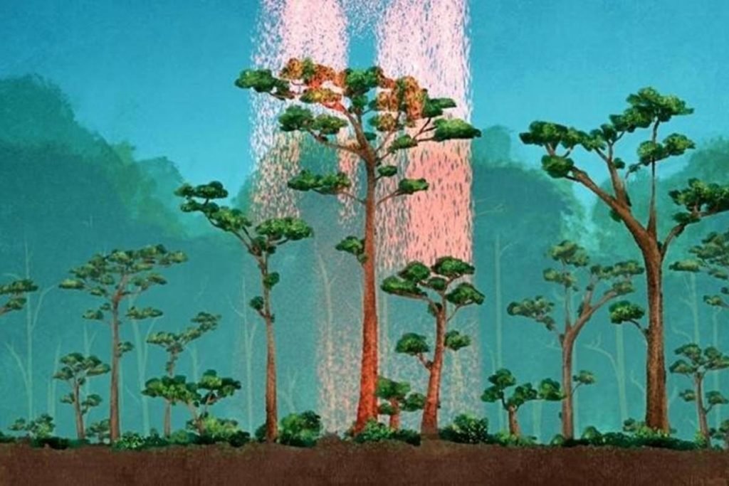 Projeto Gedi Nasa