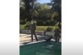 Vídeo mostra amizade entre jovem ribeirinho e capivara; assista