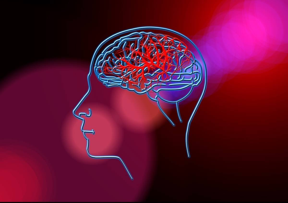 Ilustração colorida mostra uma cabeça de lado e o cérebro desenhado. O fundo é vermelho e rosa - Metrópoles