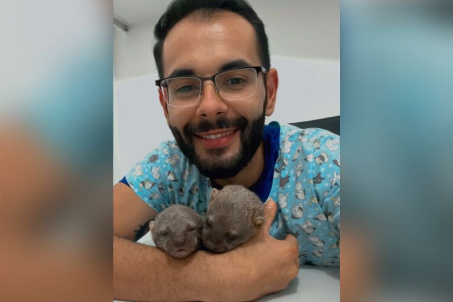 iraras familia lontra resgate canavial goias (1)
