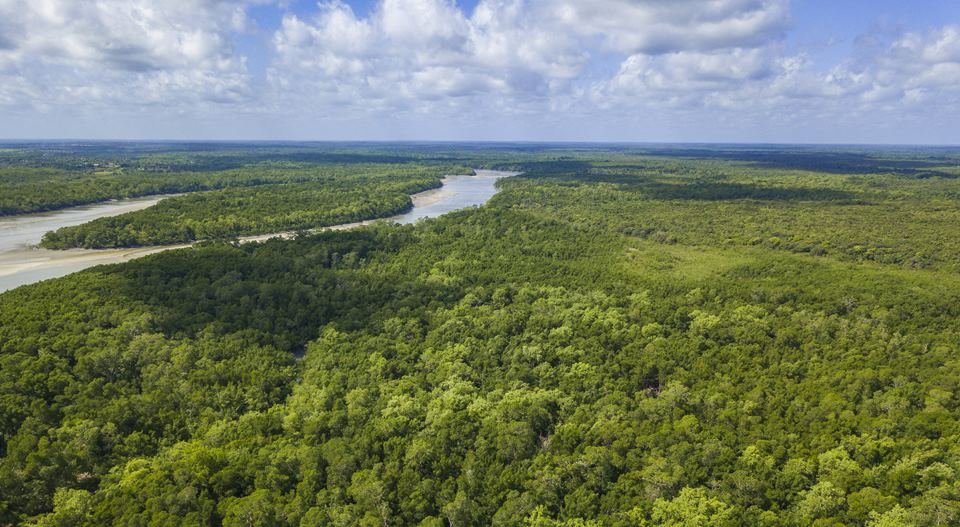 Floresta-Amazonica