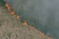 Incêndio no Parque Nacional de Brasília está controlado, diz ICMBio