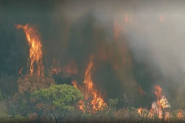 Parque Nacional de Brasília é ponto de fuga em dias quentes e secos do DF, Divirta-se mais