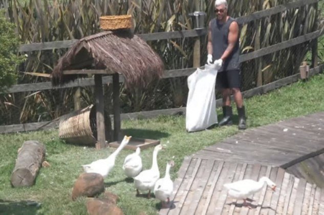 Peões fazem tour pela fazenda e ficam encantados com o búfalo - A