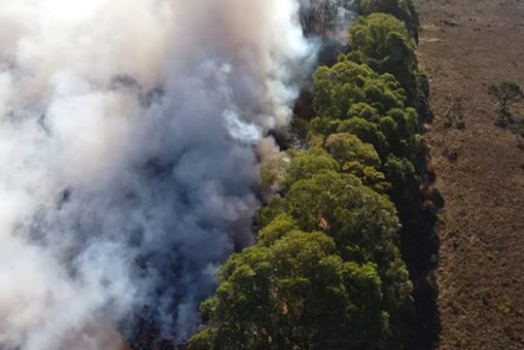 Lixão de Alto Paraíso de Goiás é tomado pelo fogo