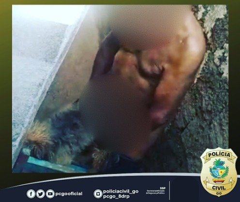 Zoofillia Capítulo 082 | La Zoofilia - AOH Radio - Podcast en iVoox