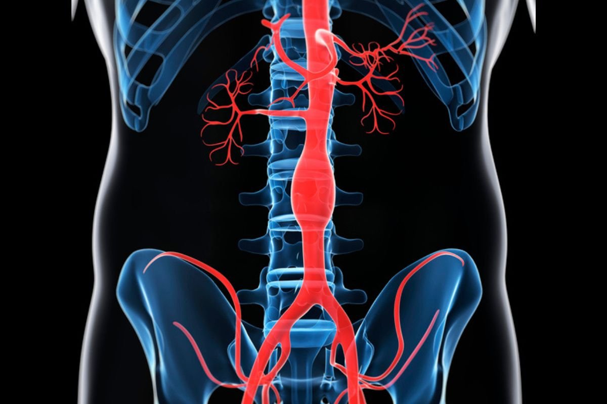 Confira teste com a mão que ajuda a identificar doença cardiovascular ...