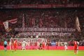 Imagem colorida torcida do Bayern