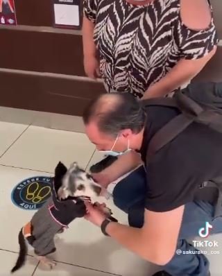 foto colorida de tutor abraçando cachorinho