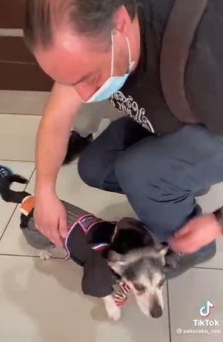 foto colorida de tutor abraçando cachorinho