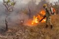 incêndio florestal em cavalcante, goiás, na chapada dos veadeirosac