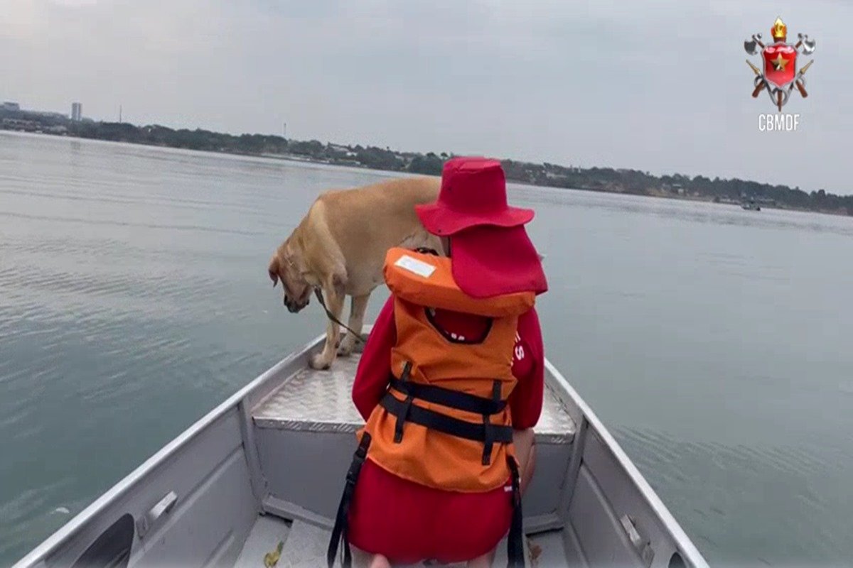 Cão e bombeiro em cima de lancha no Lago Paranoá