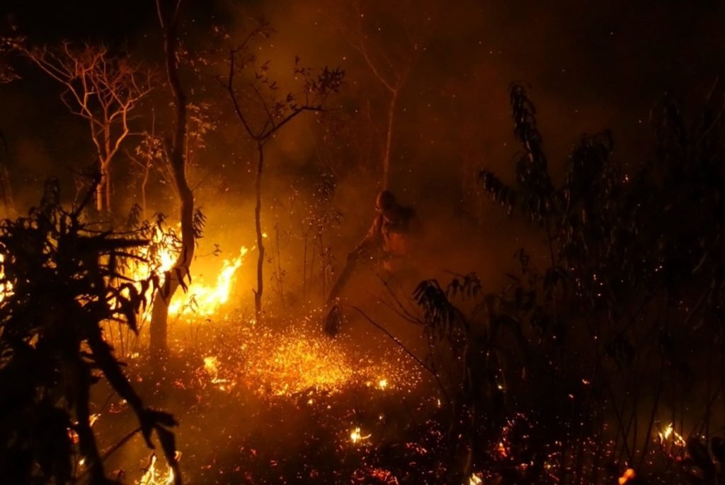 Brigadista em ação durante queimada na região de Cavalcante (GO), Chapada dos Veadeiros