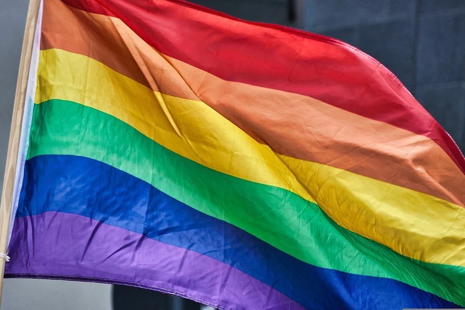 Encuesta: el 67% de los brasileños quiere más liderazgo LGBT+ en la política