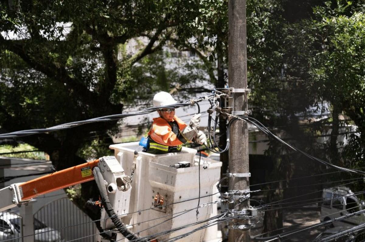 neoenergia-inspeciona-180-km-de-rede-el-trica-antes-das-elei-es-no-df