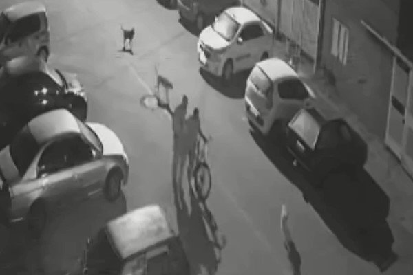 imagem de câmeras de segurança mostram dois homens, um deles levando bicicleta, com cachorros acompanhando