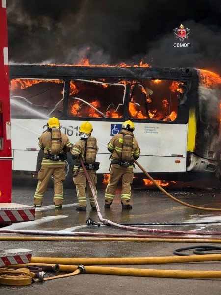 três bombeiros seuram mangueira que joga água em ônibus