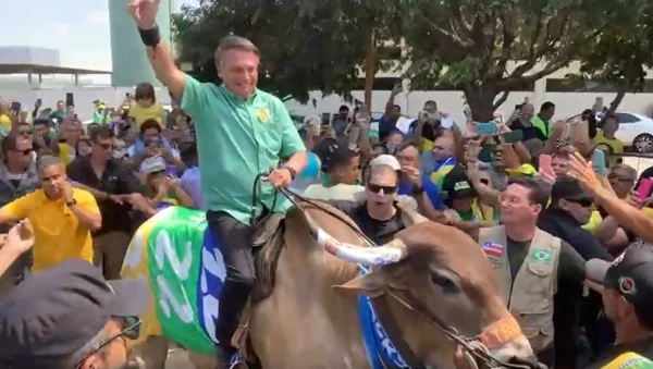 Bolsonaro monta em touro durante campanha em Petrolina