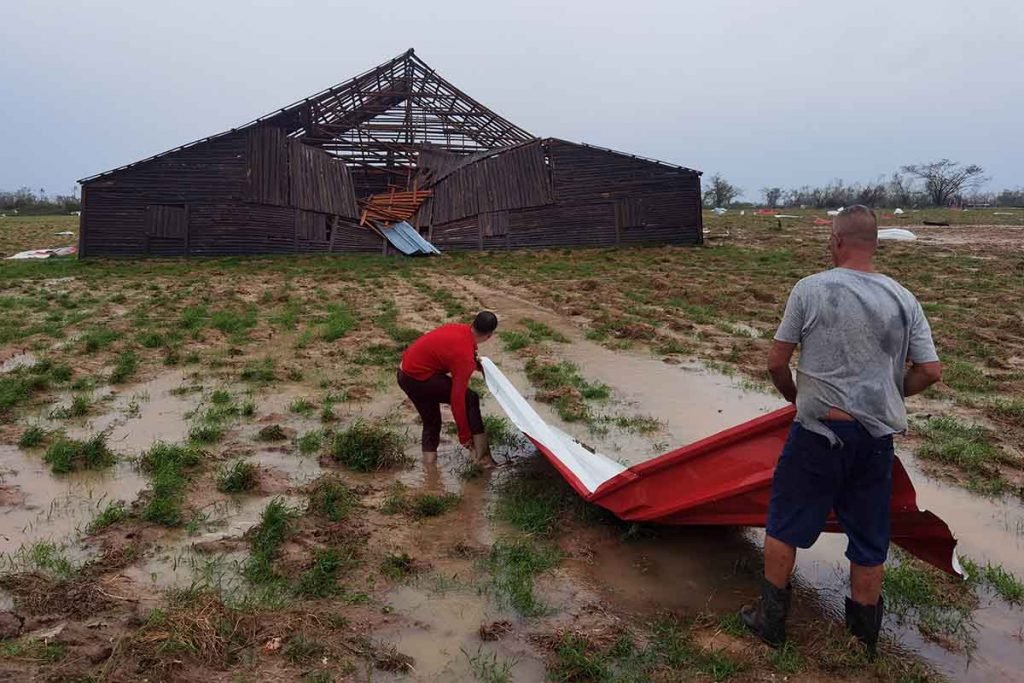 Vários homens trabalham na restauração de um armazém de tabaco destruído após o furacão Ian atingir Pinar del Rio, Cuba, em 27 de setembro de 2022 na província de Pinar del Río, Cuba. Ian chegou à terra às 4h30 EDT de terça-feira na província de Pinar del Rio, em Cuba, onde as autoridades montaram abrigos, evacuaram pessoas, enviaram equipes de emergência às pressas e tomaram medidas para proteger as plantações na principal região produtora de tabaco do país