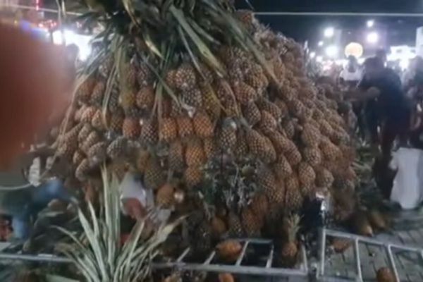 escultura abacaxi desaba pombos pernambuco