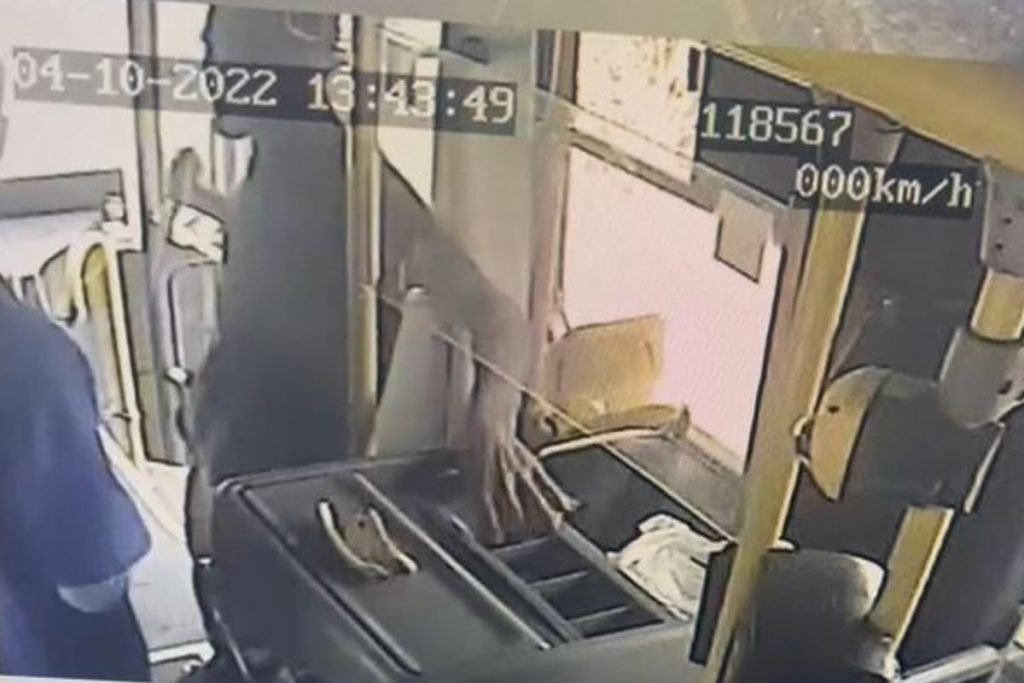 Vídeo. Jovem que assaltava ônibus com faca na Estrutural é preso