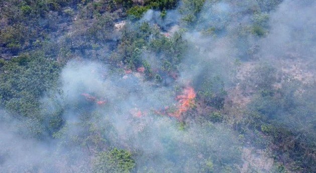 Chapada dos Veadeiros tem 10º dia de incêndios