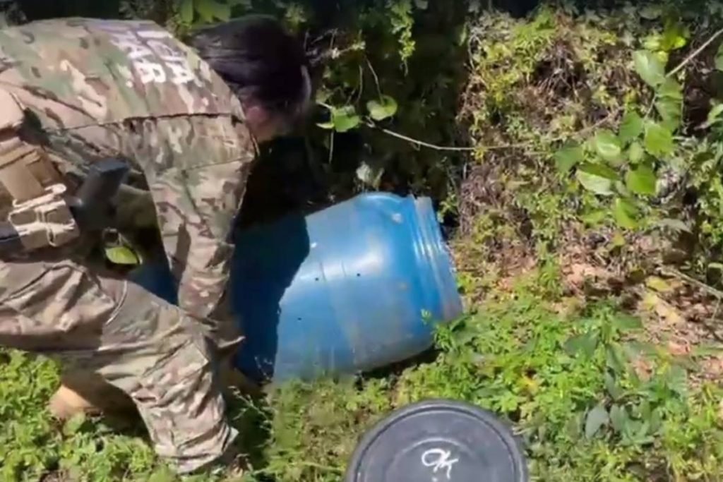 Policial solta cobra em vegetação