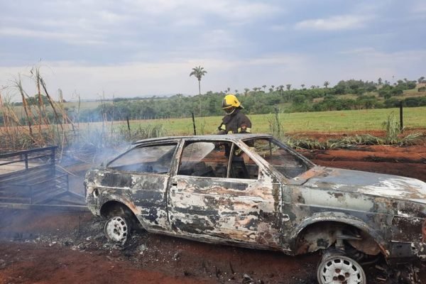 goias incendio canavial