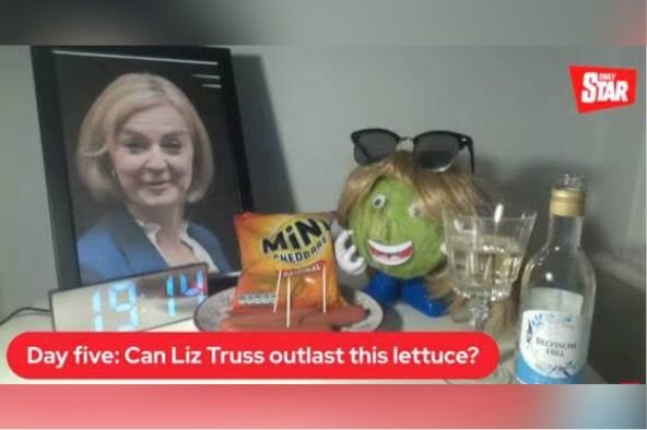 liz truss alface primeira ministra britanica (3)