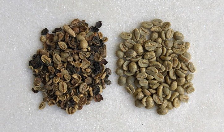 Café especial e café tradicional