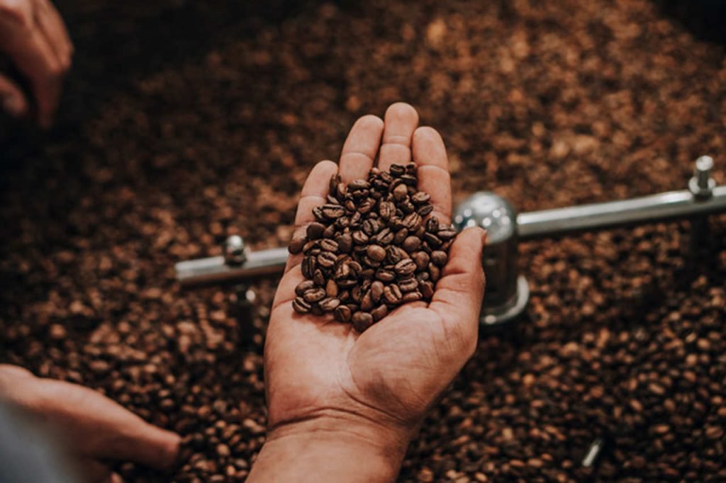Mão de homem segurando grãos de café