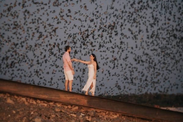 Foto colorida de um casal de noivos em uma passarela de Boa Vista e um grupo de andorinhas ao fundo deles