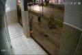 Dupla de homens é flagrada por câmeras de segurança em frente a comércio de Águas Claras