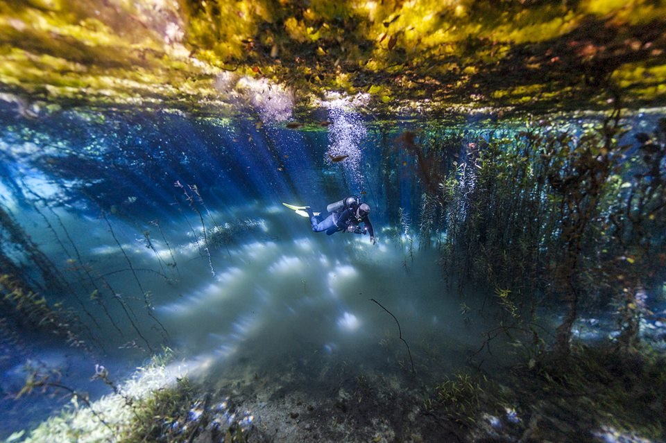Mergulhador em baixo da água - Metrópoles