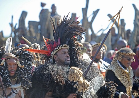Zulu King Misuzulu KaZwelithini Enters The Kraal na África do Sul