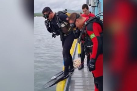 bombeiros mergulhadores afogamento lago goias