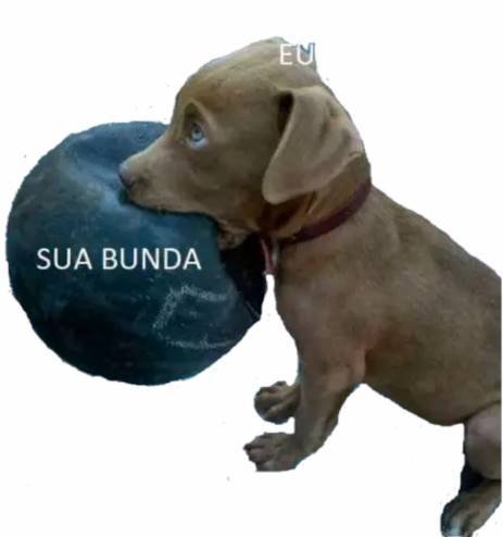 Figurinhas para chamar para transar