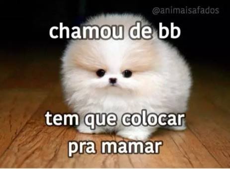 Figurinhas para chamar para transar