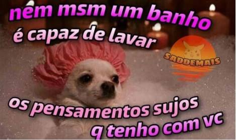 Figurinhas para chamar para transar