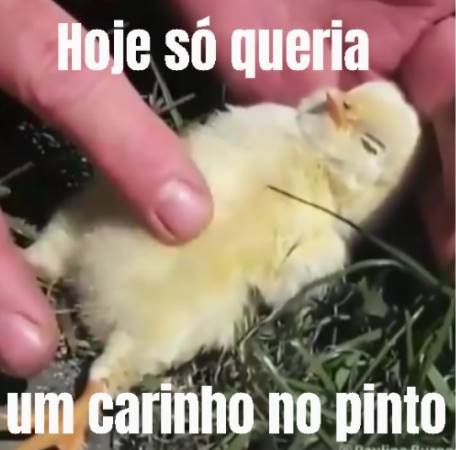 Figurinhas para chamar para transar