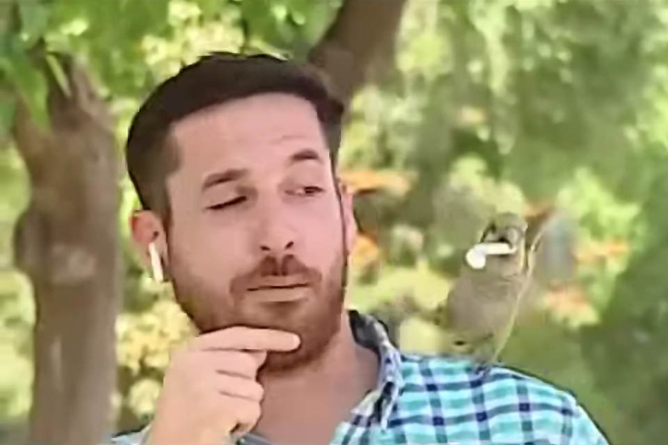 Reportero es ‘robado’ en Parrot Live y se vuelve viral