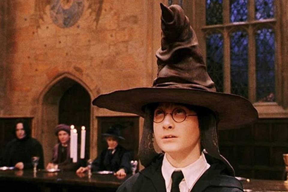 Harry Potter e o Chapéu Seletor