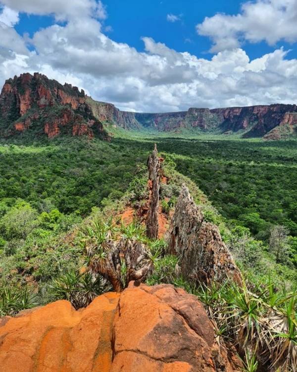 Chapada dos Guimarães: pacote para visitar o parque a partir de R$ 887 ...