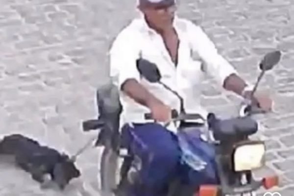 cadela é arrastada por motocicleta em Campina Grande, Paraíba - Metrópoles
