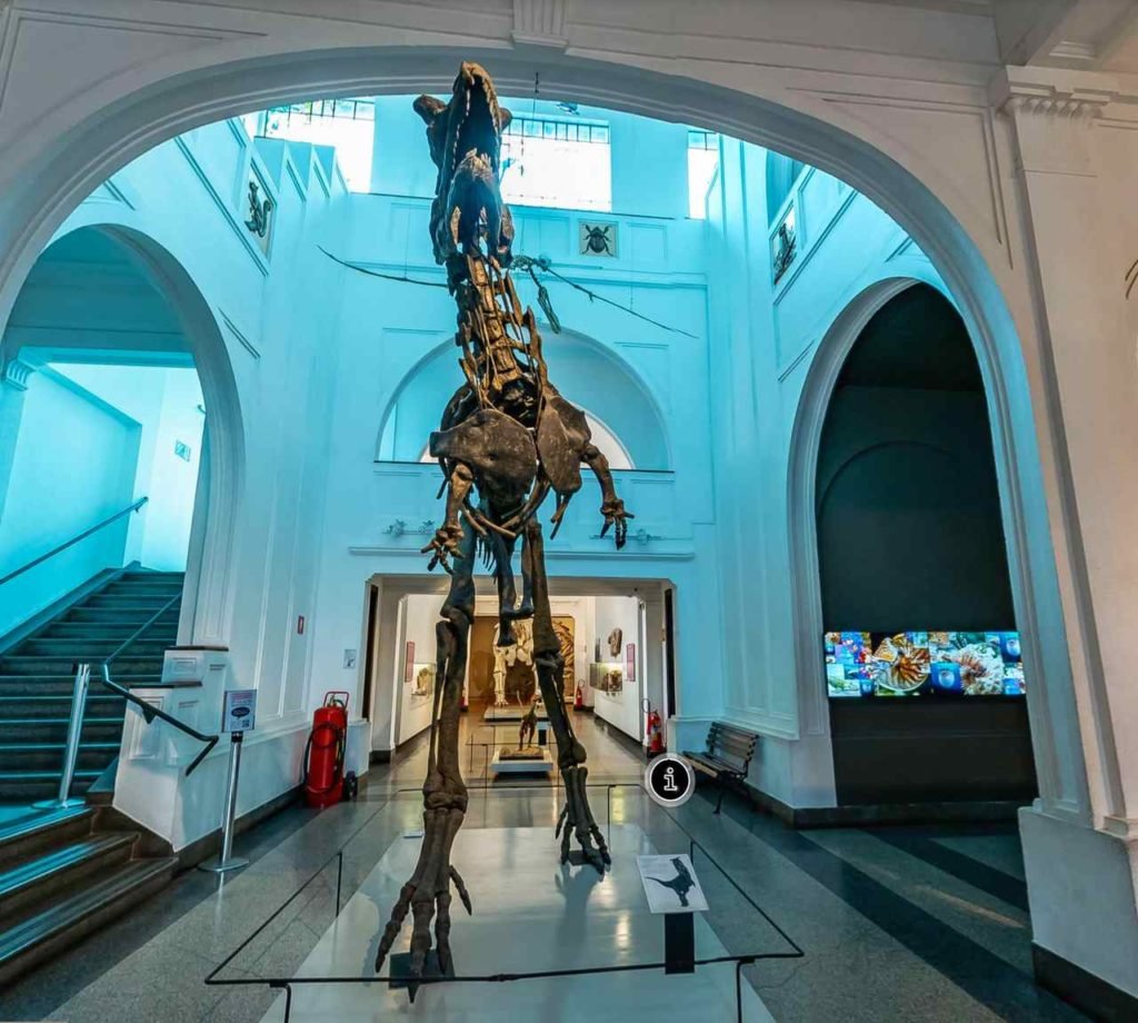 Imagem Colorida Museu de Zoologia